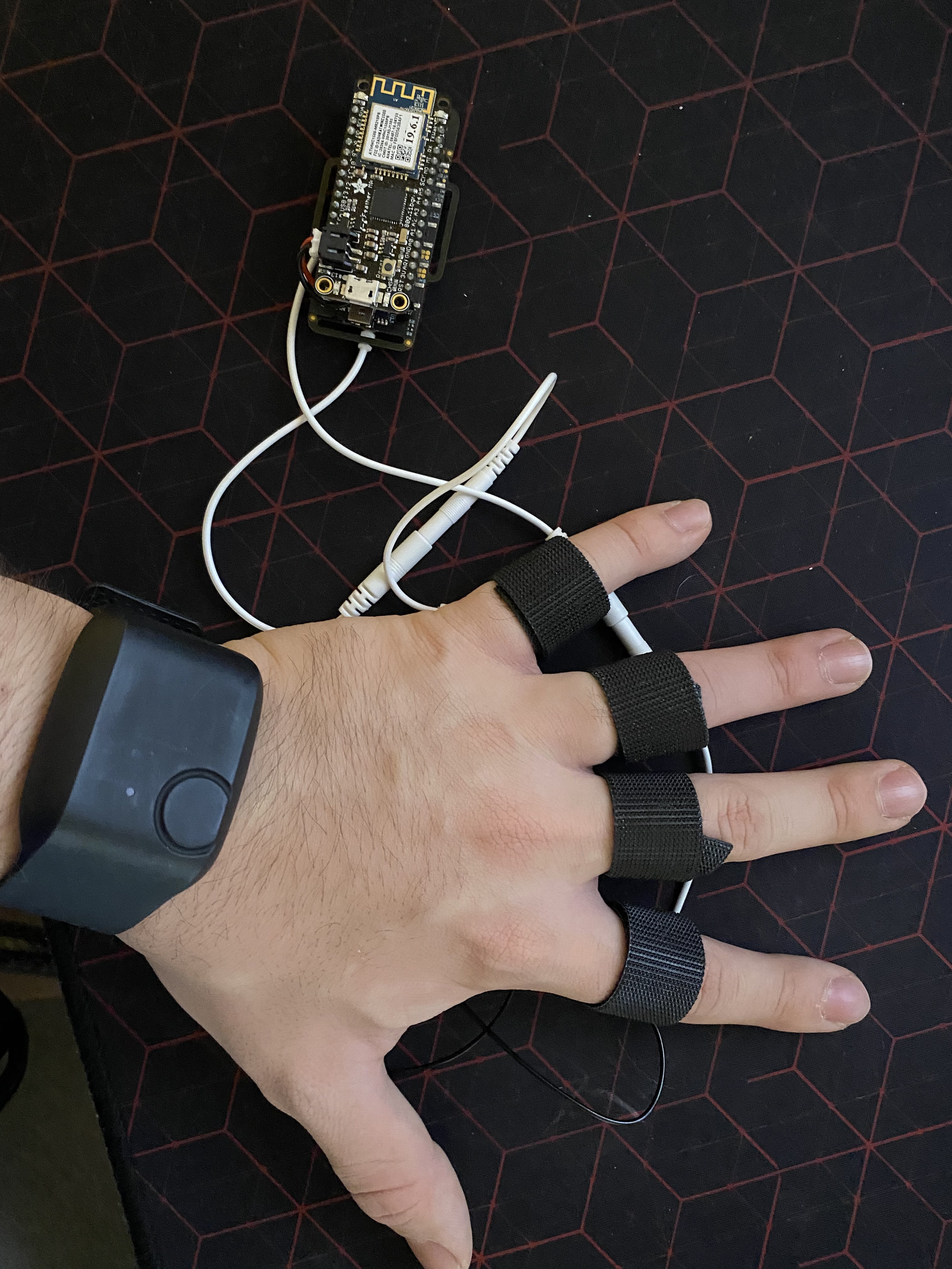 Setupback_Carlos Ruizvalencia.jpg