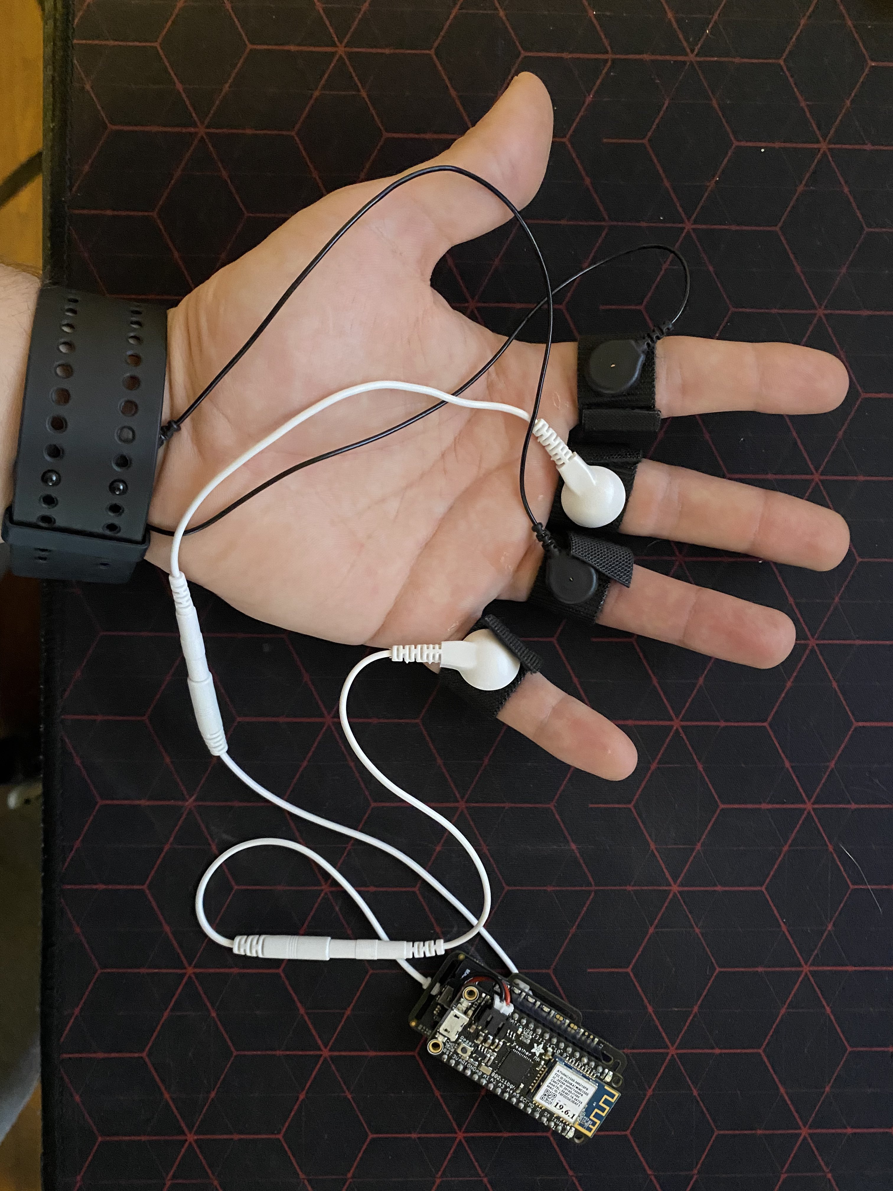 Setupfront_Carlos Ruizvalencia.jpg